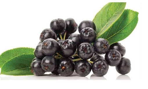 Foto e Aronia
